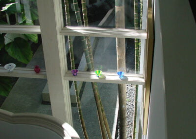 Five small, colorful glass bowls sit on a sunlit windowsill by tall bamboo and leafy plants outside.